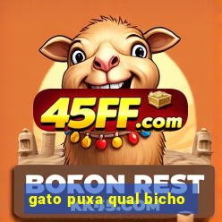 gato puxa qual bicho